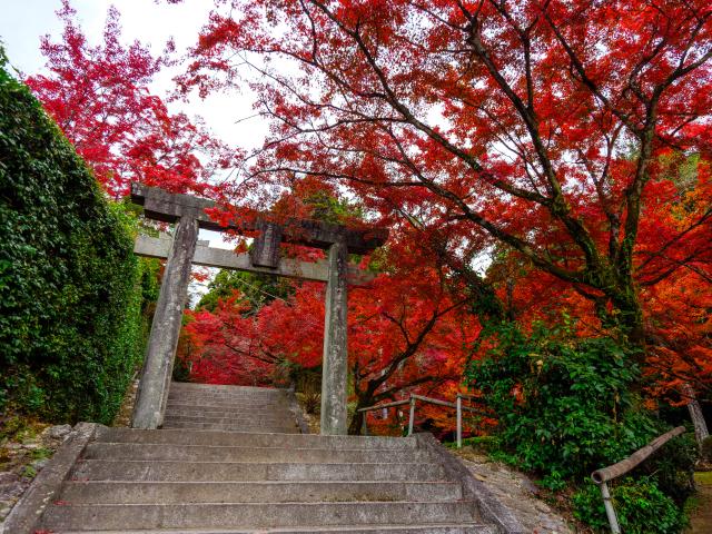 写真：仁比山神社