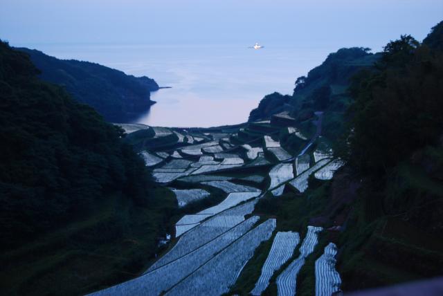 画像:浜野浦の棚田の写真