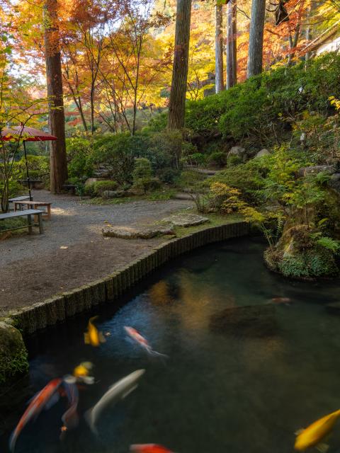 写真：大興善寺