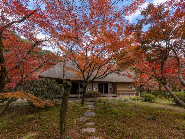 写真：九年庵