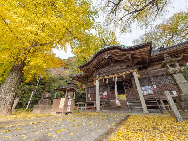 写真：綾部八幡神社