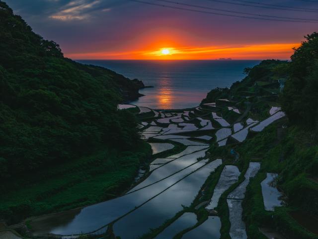 写真：浜野浦の棚田