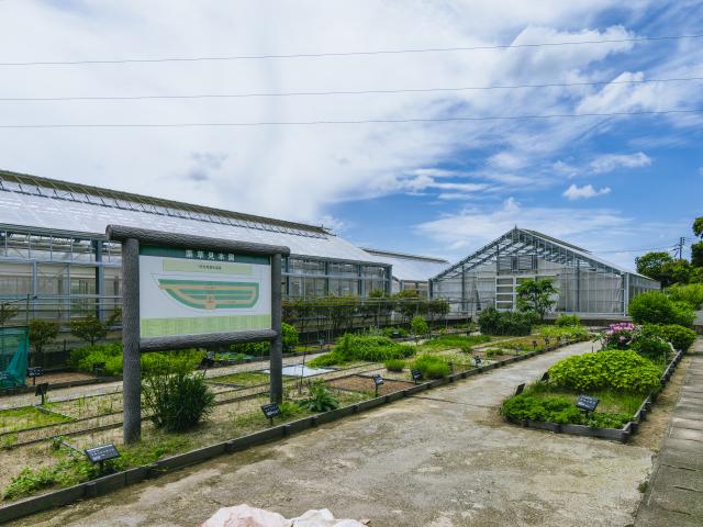 写真：玄海町薬用植物栽培研究所