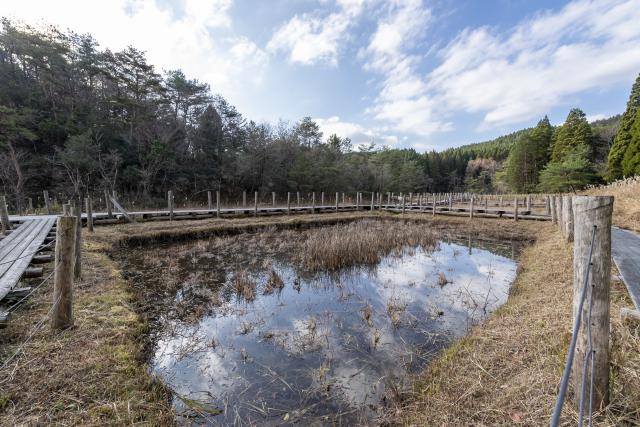 画像:樫原湿原の写真