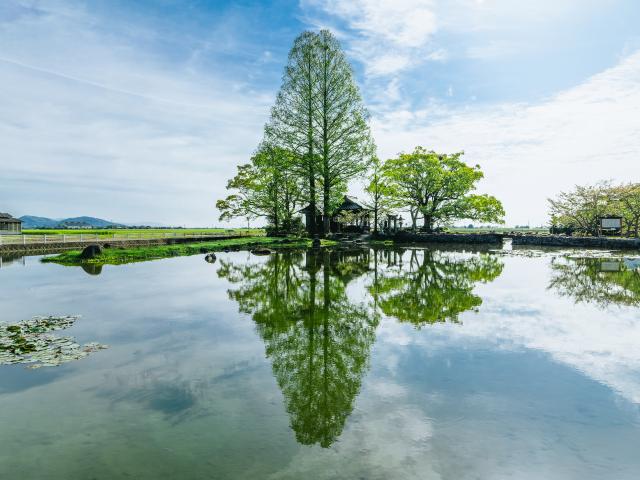 写真；縫ノ池