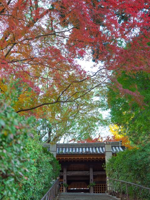 写真：大興善寺