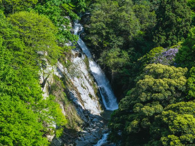 写真：観音の滝