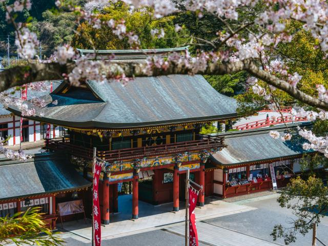 写真：祐徳稲荷神社（桜）