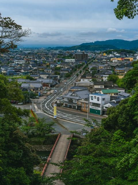 写真：須賀神社