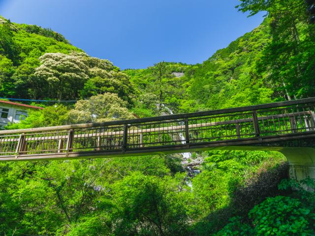 写真：見帰りの滝