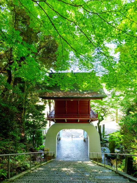 写真：伊萬里神社