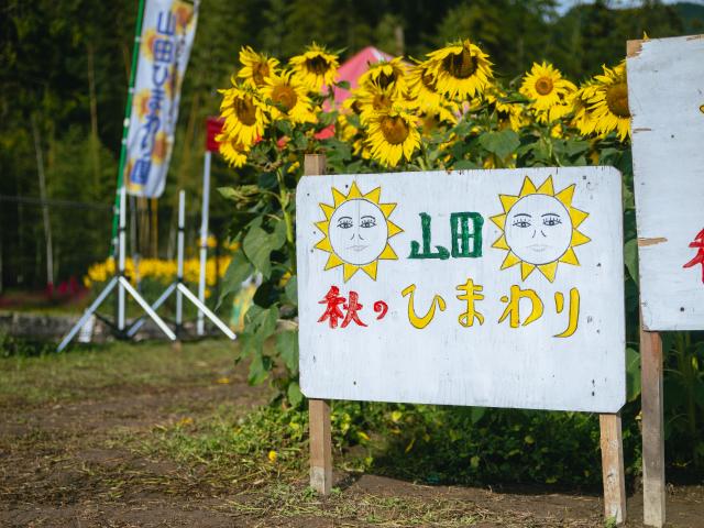 写真：山田ひまわり園