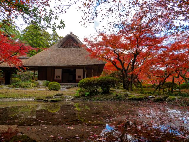 写真：九年庵