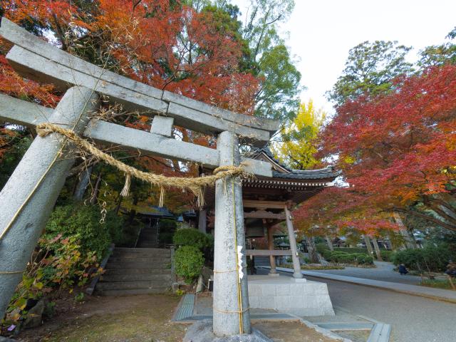 写真：大興善寺