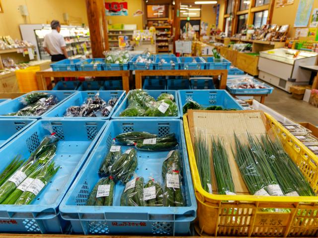 写真：道の駅厳木 「風のふるさと館」