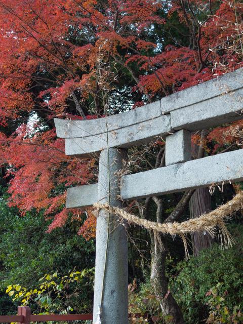 写真：大興善寺