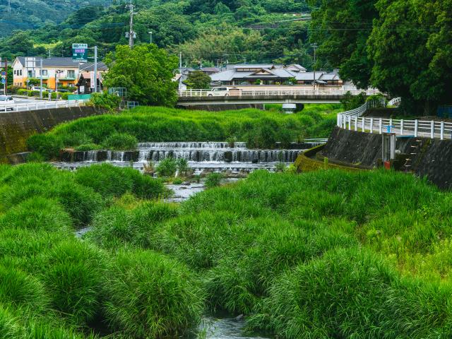 写真：須賀神社