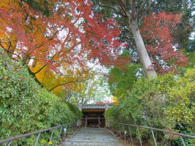 写真：大興善寺