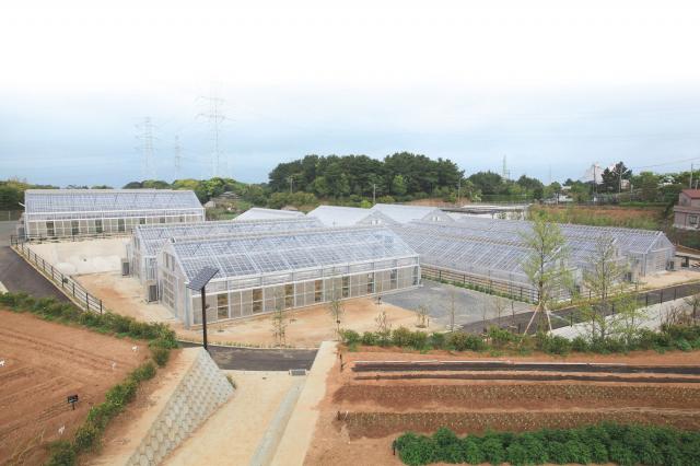 画像:玄海町薬用植物栽培研究所の写真