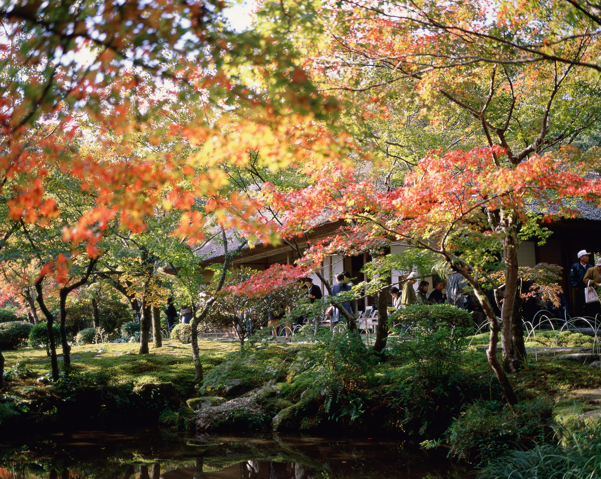 画像:九年庵の写真