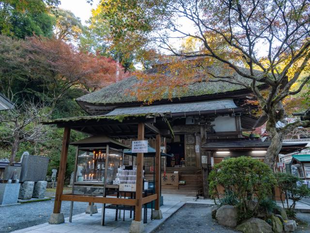 写真：大興善寺