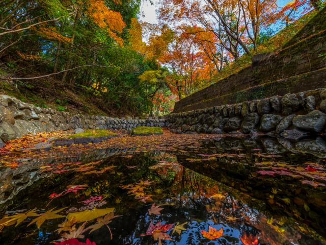 写真：竜門峡