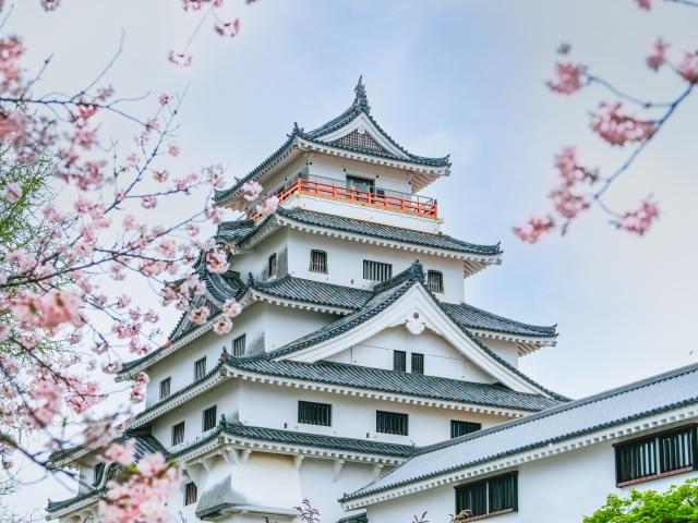 写真：唐津城（桜）