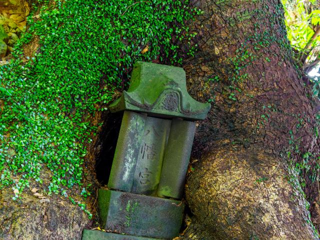 写真：伊萬里神社