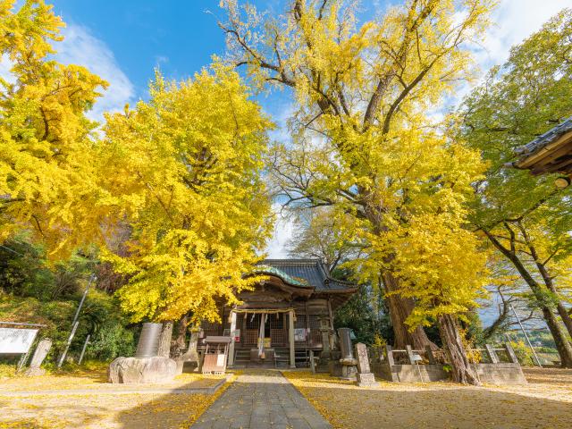 写真：綾部八幡神社