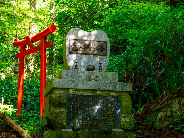 写真：清水の滝