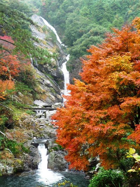 画像:見帰りの滝と紅葉の写真