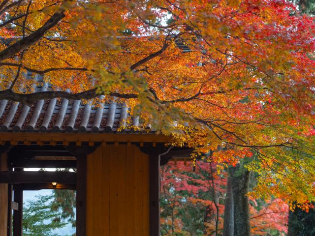 写真：大興善寺