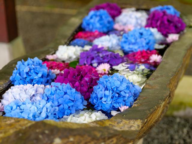 写真：福母八幡宮