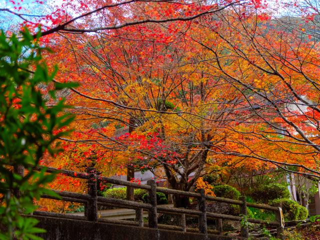 写真：竜門峡