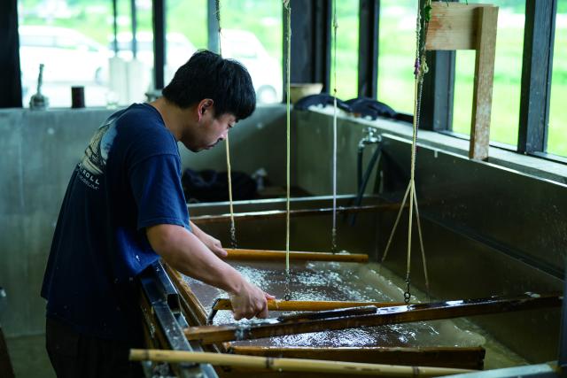 写真：名尾和紙