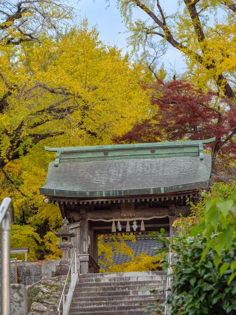 写真：綾部八幡神社