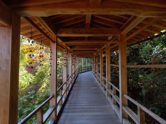 写真：高野寺