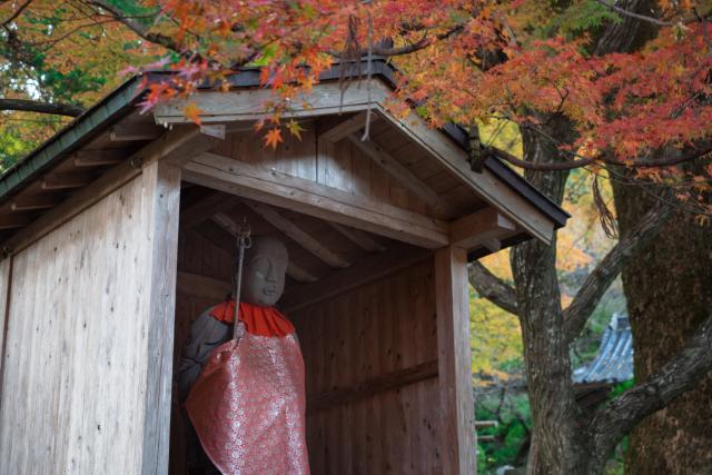 写真：大興善寺