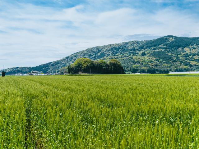 写真：須古城跡