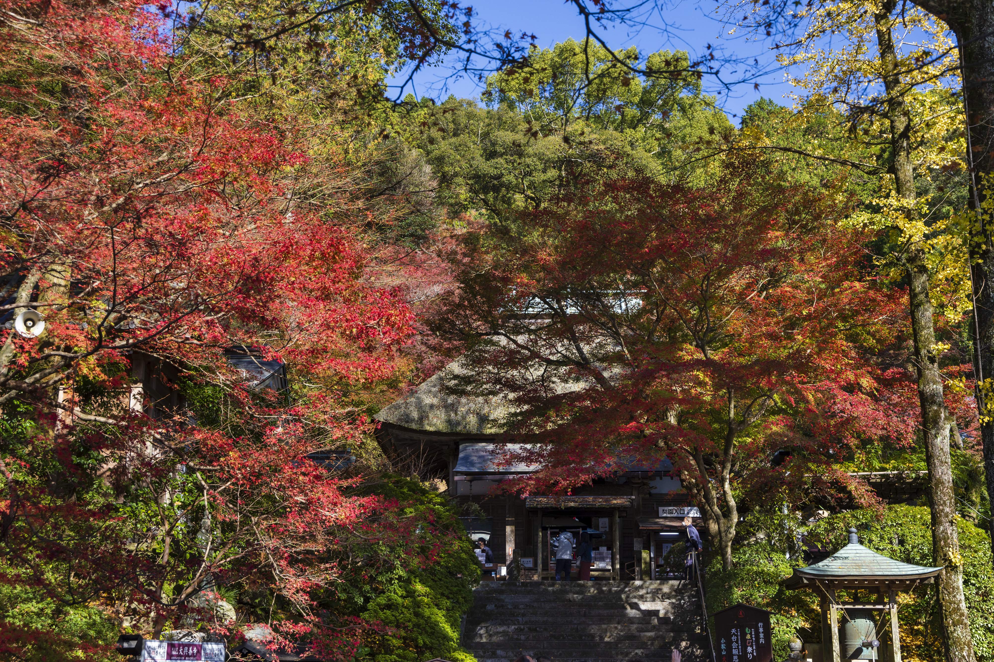 画像:大興善寺の写真