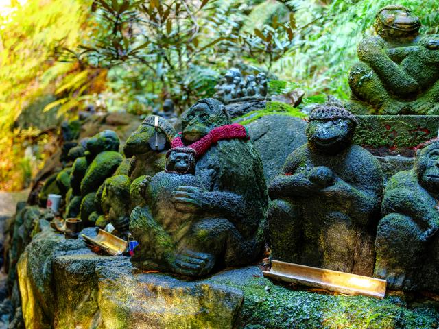 写真：仁比山神社