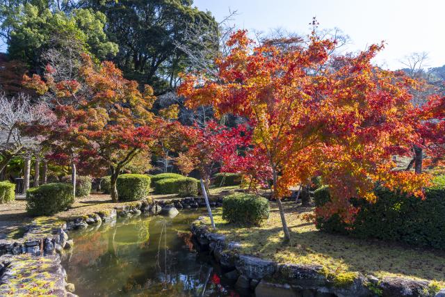 画像:多久聖廟・西渓公園の写真