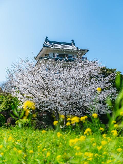 写真：竹崎城址展望台公園