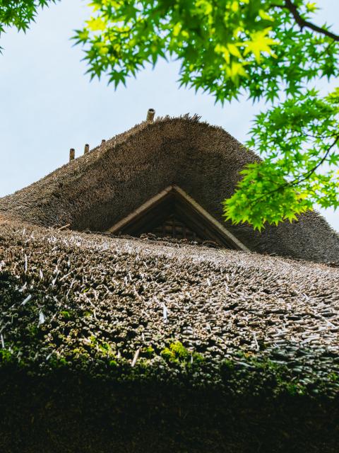 写真：九年庵