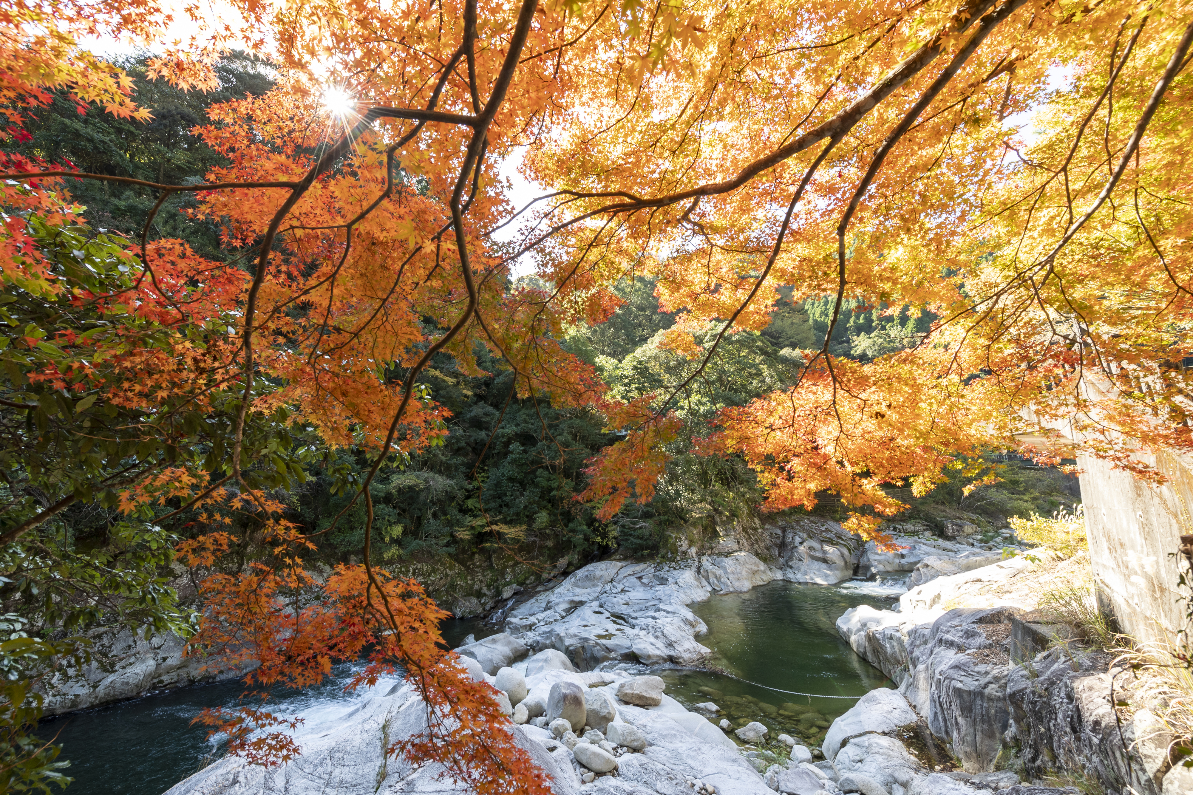 画像:雄淵・雌淵の写真