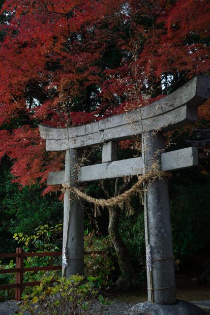 写真：大興善寺