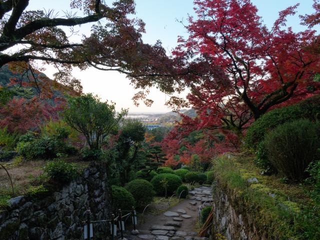 写真：九年庵