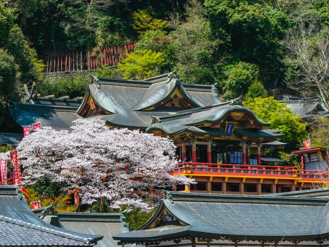 写真：祐徳稲荷神社（桜）