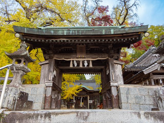 写真：綾部八幡神社