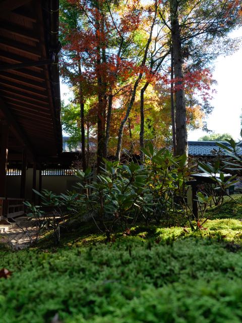 写真：高野寺